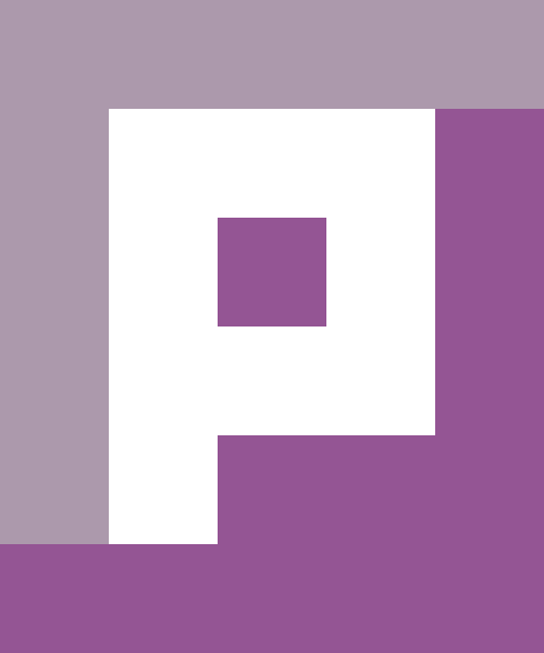 Paypunk logo